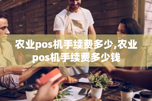 农业pos机手续费多少,农业pos机手续费多少钱