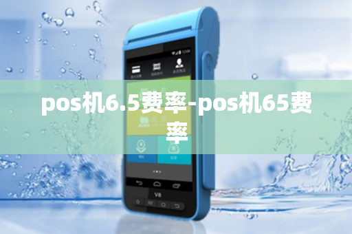 pos机6.5费率-pos机65费率-第1张图片-POS机中心